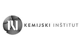 Kemijski inštitut